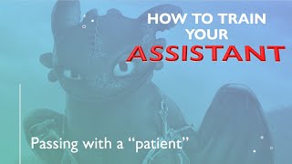 How to train your assistant Passing with a patient [upl. by Ezequiel400]