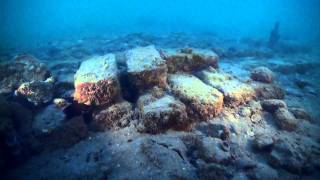 I veri pirati dei Caraibi la taverna sommersa [upl. by Harhay]