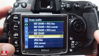 NIkon D300s What Are My Settings [upl. by Aneetak]