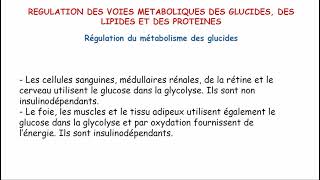 Régulation du métabolisme glucidique [upl. by Retha601]