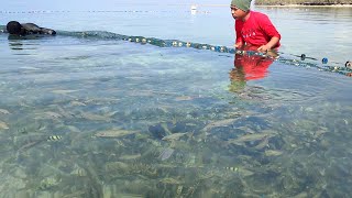 menangkap Ribuan Ikan buat makan sekampung [upl. by Anitsirc]