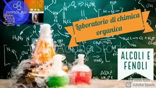 Laboratorio di chimica organica Gruppi funzionali riconoscere alcoli e fenoli [upl. by Halona723]