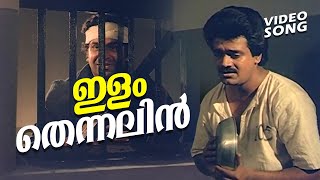 Ilam Thennalin Evidence  Malayalam Movie Song  FtShankar CaptRaju Seema  Jayachandran Hits [upl. by Hctim]