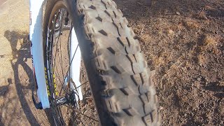 Maxxis Ardent Race 29X220 Exo TR [upl. by Ttimme172]