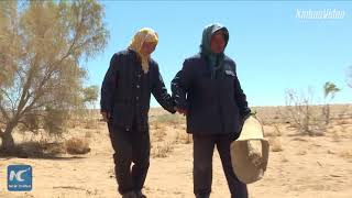 Chinas crazy project planting trees in the desert [upl. by Farver676]