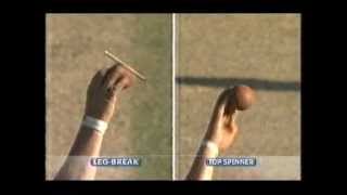 Shane Warne bowling analysis [upl. by Assillam]