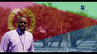 ኣልጌና ባህልን ምርምርን Algena Culture amp Research [upl. by Llertnov]