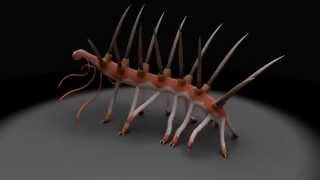 Hallucigenia sparsa reconstruction I [upl. by Ailet]