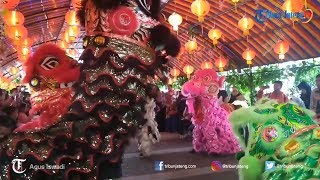 Pertunjukan Barongsai di Edupark Intan Pari Karanganyar [upl. by Chee]