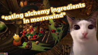 Morrowind Crunchy Cat [upl. by Ardnyk32]