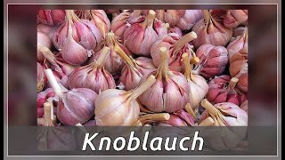 Knoblauch – heilende Eigenschaften [upl. by Finzer]