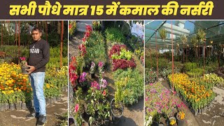 ₹15 में एक से बढ़कर एक पौधे  नर्सरी का टूर  nursery mai milne wale paudhe  flowers plants nursery [upl. by Aehtorod]