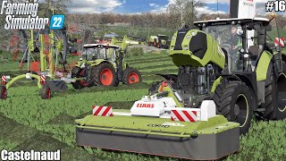 MOWING amp WINDROWING ALFALFA FEEDING ANIMALS W CLAAS│CASTELNAUD│FS 22│16 [upl. by Basia]