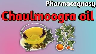 Pharmacognosy of Chaulmoogra oil [upl. by Eseyt396]