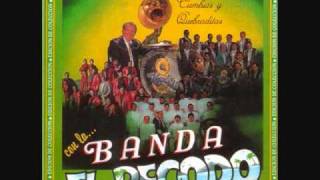 Banda El Recodo Mix De Cumbias [upl. by Nohsar]