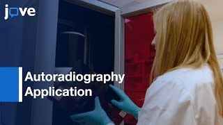 Autoradiography Application [upl. by Susi]