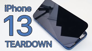 iPhone 13 Teardown  Full Disassembly [upl. by Blythe963]