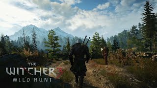 The Witcher 3  Relaxing Walk on Skellige Islands  Music amp Ambience [upl. by Veljkov469]