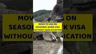 USA Seasonal work visa [upl. by Ly]