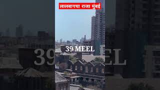 मुंबई में लालबाग का राजा इतना प्रसिद्ध क्यों  lalbaghcharaja mumbaiganpati ganpatibappamorya [upl. by Epoh]