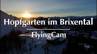 Webcam Kitzbühel – Fantastischer Überflieger in Hopfgarten im Brixental [upl. by Zysk]