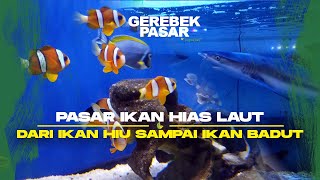 Pasar Ikan Sumenep Jakarta Jual Ikan Hiu [upl. by Semajwerdna]