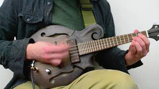 Electric Mandolin Demo  DarkwoodUSA  F Style [upl. by Cari]