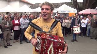 A Dança da Concertina com o Grupo Diatónicos [upl. by Mazur]