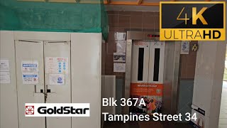 GoldStar lifts at Blk 367A Tampines Street 34 [upl. by Phillie521]