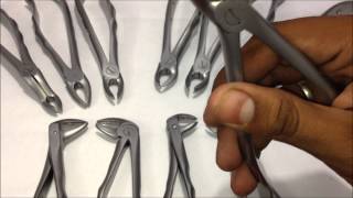 Tooth Extraction Forceps  Upper and Lower 12 Forceps Kit  GDC [upl. by Cavan]