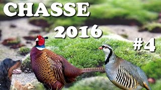 CHASSE PETIT GIBIER 2016 4 CALIBRE 28 amp 410 PHEASANT HUNTINGCACCIA SELVAGGINACAZA MENOR [upl. by Edrock]