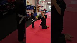 Kids hapkido [upl. by Oinotnanauj]