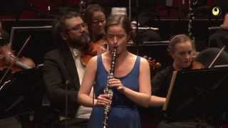 Wolfgang Amadeus Mozart Clarinet Concerto in A major K622 [upl. by Esilahs]