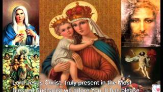 Novena Prayers to Our Mother of Perpetual Help [upl. by Hardner975]