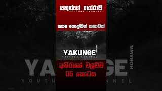 අභිරහස් වලව්ව 06 කොටස  sinhala holman katha sinhalaholmankatha horrortok viral foryou [upl. by Asset]