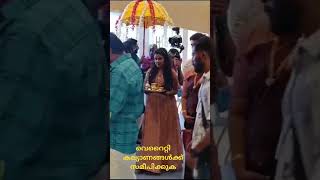 വരനെ malayalam weddings weddingplanner weddinginspiration [upl. by Nigle642]