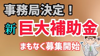 新・巨大補助金2024年から募集開始予算3000億円規模・中堅・中小企業の賃上げに向けた省力化等の大規模成長投資補助金【中小企業診断士YouTuber マキノヤ先生】第1671回 [upl. by Christmas571]