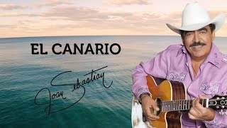 EL CANARIO LYRIC VIDEO OFICIAL [upl. by Lubin193]