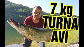 7 Kilo Canlı Balık ile TURNA Avı Armağan Barajı  Kırklareli [upl. by Rialb]