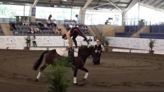 Krystle Lander CVI 2011 Freestyle [upl. by Rora384]