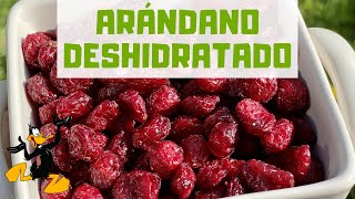 10 Propiedades de los Arándanos Deshidratados o Secos 🤤 ¡BENEFICIOS [upl. by Aciras112]