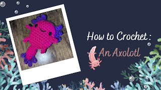 How to Crochet An Axolotl [upl. by Ettelohcin]