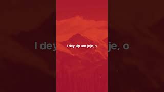 Burna Boy  Higher Lyrics burnaboy higher dancehall lyricvideo [upl. by Aivatnohs229]