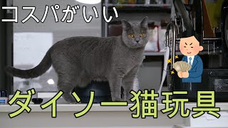 コスパがいい！ダイソーの猫玩具！ [upl. by Echikson]