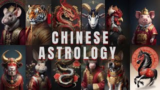 The 12 chinese zodiac signs 🌒🪧 [upl. by Nnylyar]