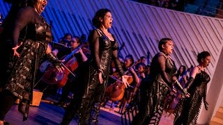 Die Walküre Act III sc i amp ii Highlights [upl. by Charlotte]