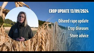 Crop Update for Scotlands Farmers  13th September 2024 [upl. by Anerys]