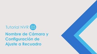 ES NVR Tutorial 05 Camera Name and Fit Screen Setting [upl. by Pepi]