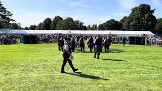 European Pipe Band Championships 2024  Grade 2 Medley  Portlethen and District [upl. by Astri]