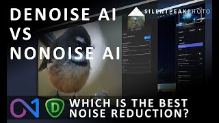 NoNoise AI  The BEST Denoise AI Alternative [upl. by Mireielle]